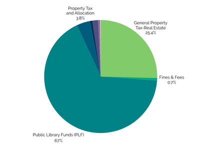 2025 Revenue pie chart.