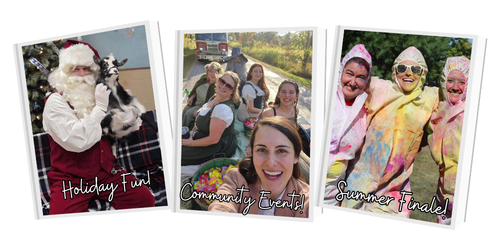 Fun library programs!