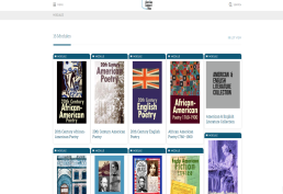 American and English Literature database