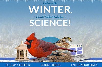 Text "Embrace the Winter. Count birds for science!" Picture of a 2 birds, a bird feeder, and a laptop with wintery background